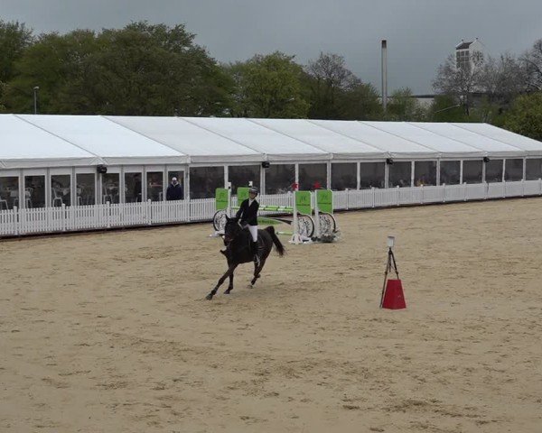 Reitturnier Amriswil 2025