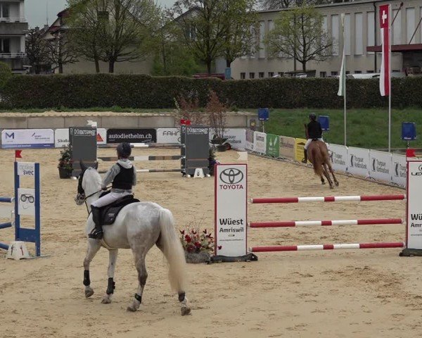 Reitturnier Amriswil 2025