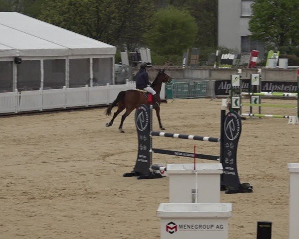 Reitturnier Amriswil 2025