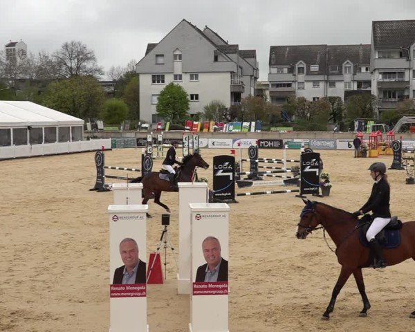 Reitturnier Amriswil 2025