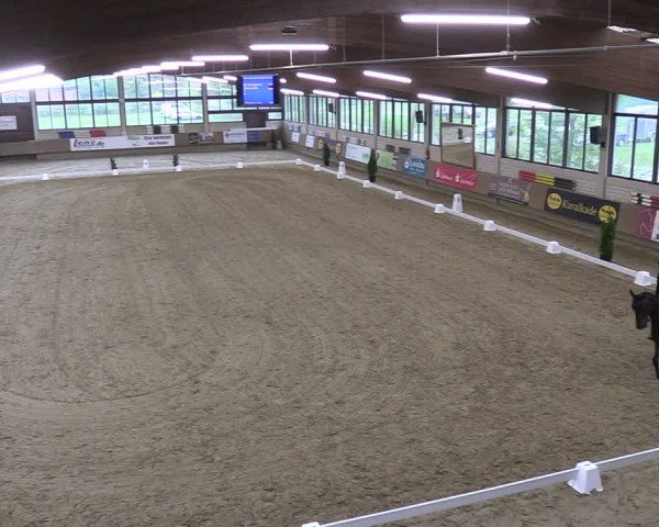 Reitturnier Oelde 2025