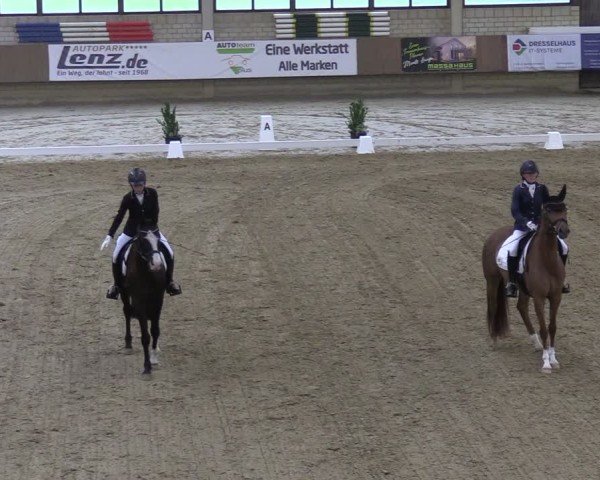 Reitturnier Oelde 2025