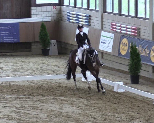 Reitturnier Oelde 2025