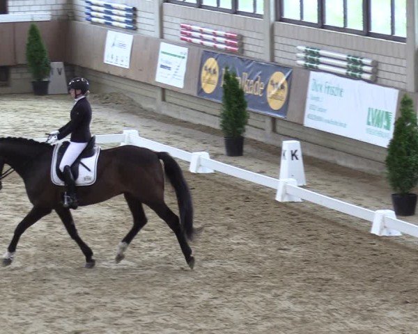 Reitturnier Oelde 2025