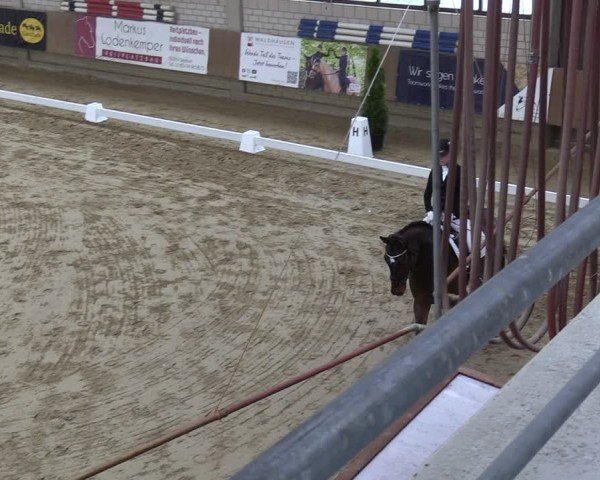 Reitturnier Oelde 2025