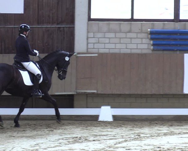Reitturnier Oelde 2025