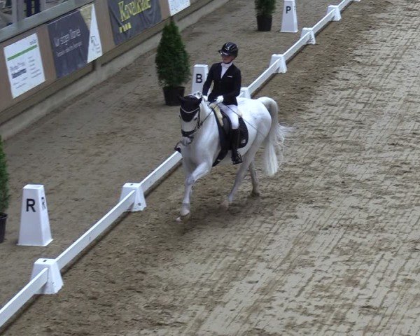 Reitturnier Oelde 2025