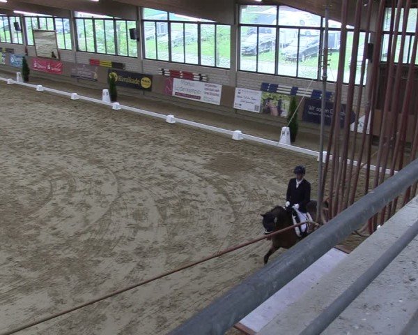 Reitturnier Oelde 2025