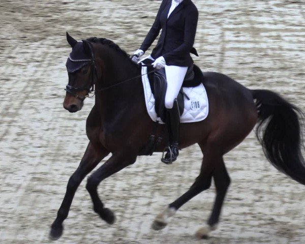 Reitturnier Oelde 2025