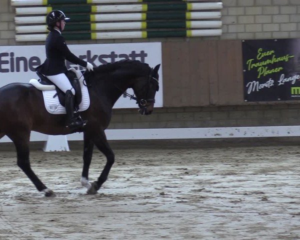 Reitturnier Oelde 2025