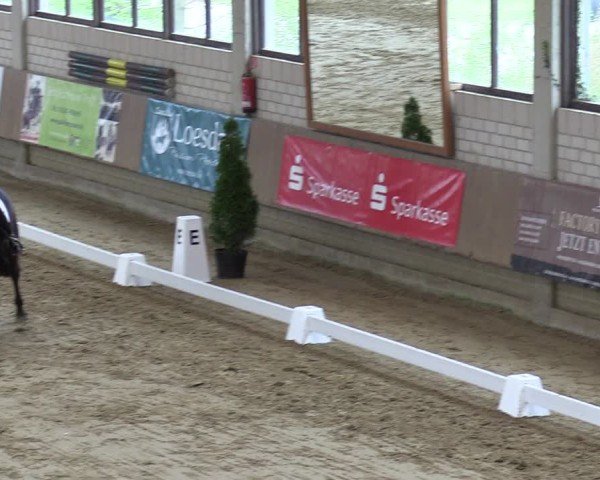 Reitturnier Oelde 2025
