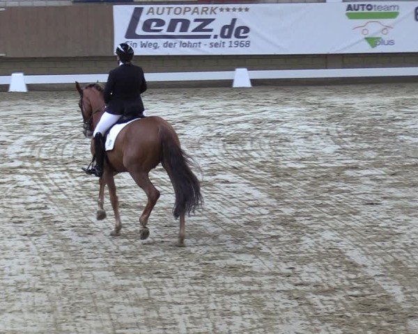 Reitturnier Oelde 2025