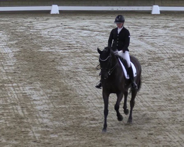 Reitturnier Oelde 2025