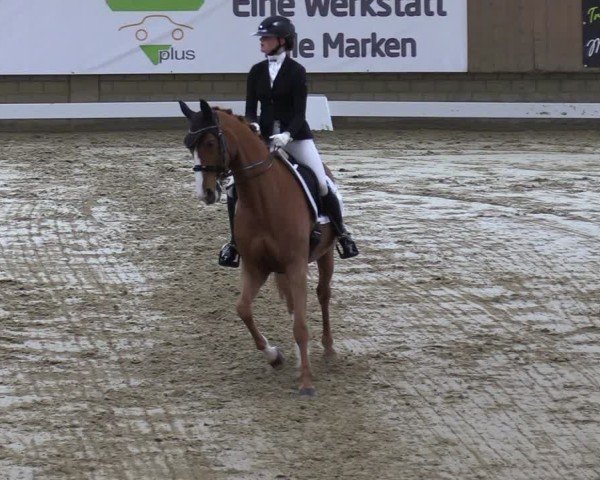 Reitturnier Oelde 2025