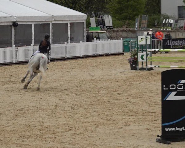 Reitturnier Amriswil 2025