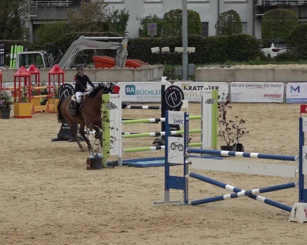 Reitturnier Amriswil 2025