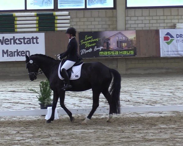 Reitturnier Oelde 2025