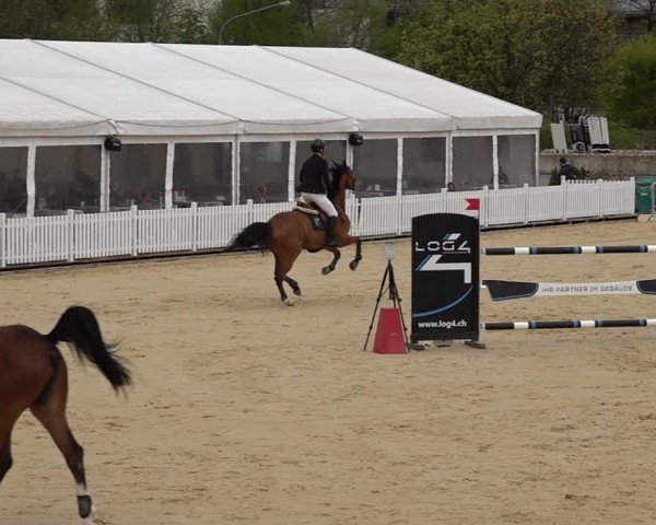 Reitturnier Amriswil 2025