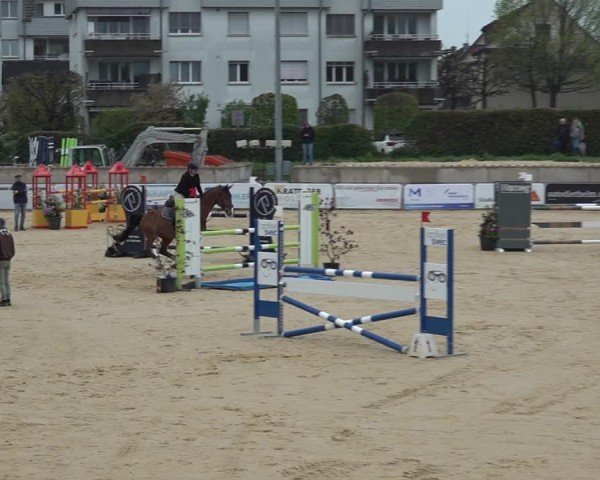 Reitturnier Amriswil 2025