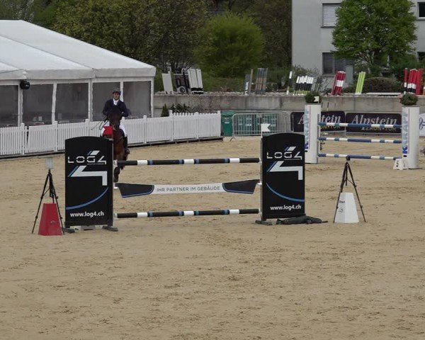 Reitturnier Amriswil 2025