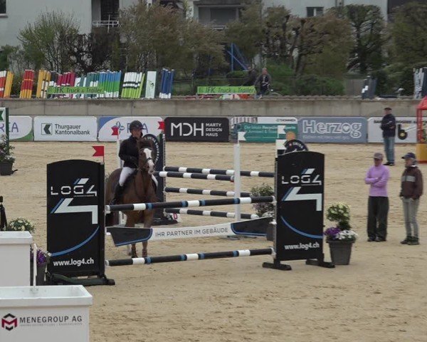 Reitturnier Amriswil 2025
