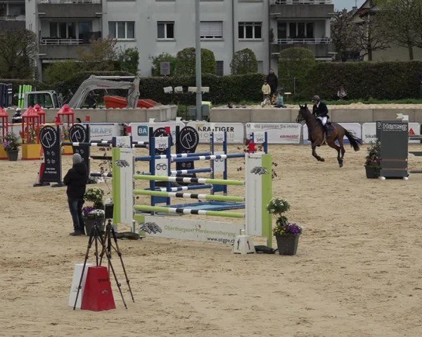 Reitturnier Amriswil 2025