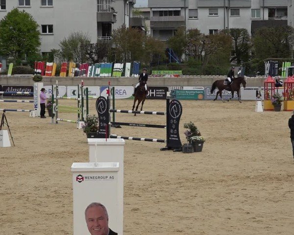 Reitturnier Amriswil 2025