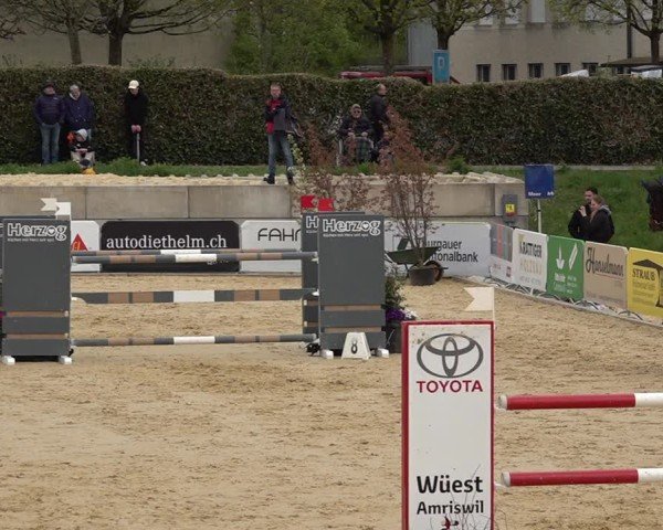 Reitturnier Amriswil 2025