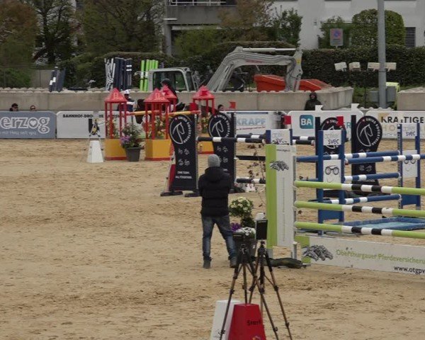 Reitturnier Amriswil 2025