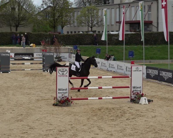 Reitturnier Amriswil 2025