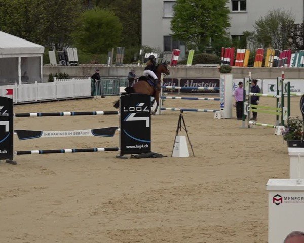 Reitturnier Amriswil 2025