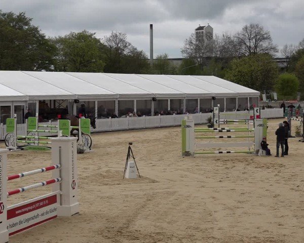 Reitturnier Amriswil 2025