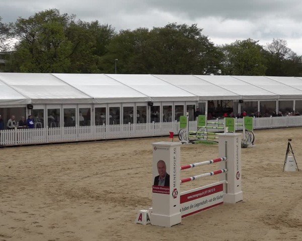 Reitturnier Amriswil 2025