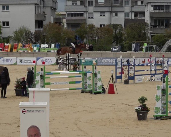 Reitturnier Amriswil 2025