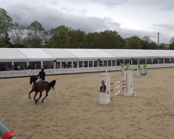 Reitturnier Amriswil 2025