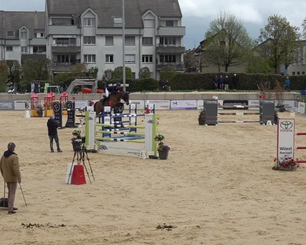 Reitturnier Amriswil 2025