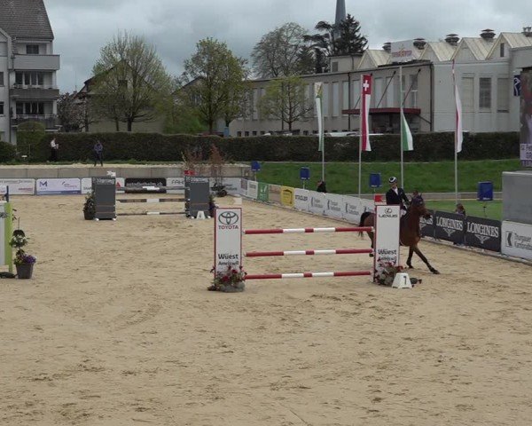 Reitturnier Amriswil 2025