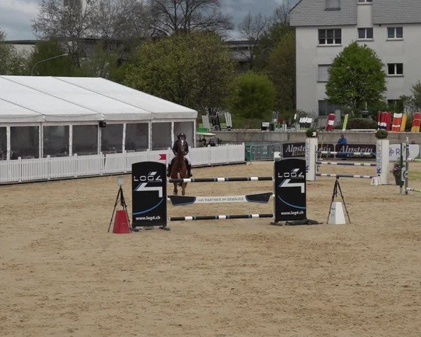 Reitturnier Amriswil 2025