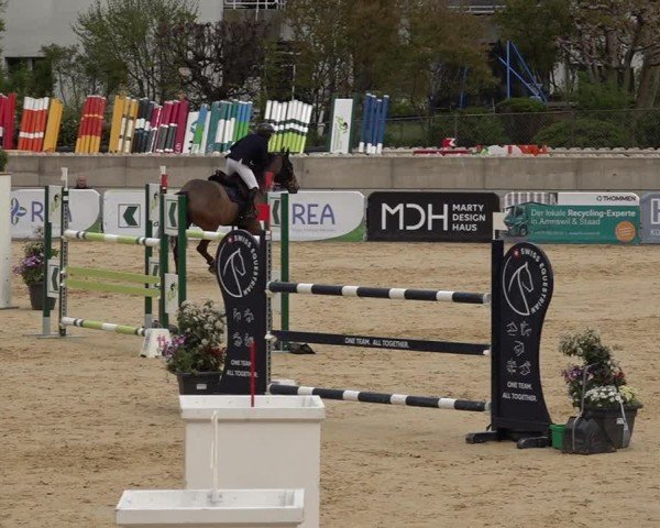 Reitturnier Amriswil 2025