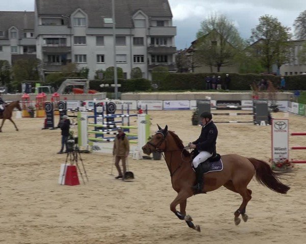 Reitturnier Amriswil 2025