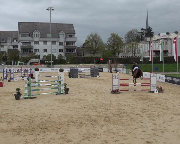 Reitturnier Amriswil 2025