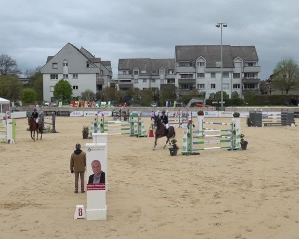 Reitturnier Amriswil 2025