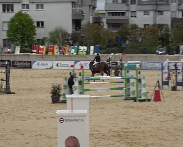 Reitturnier Amriswil 2025