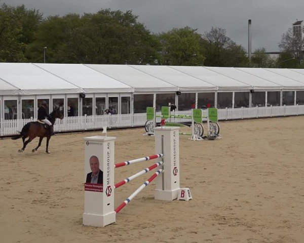 Reitturnier Amriswil 2025