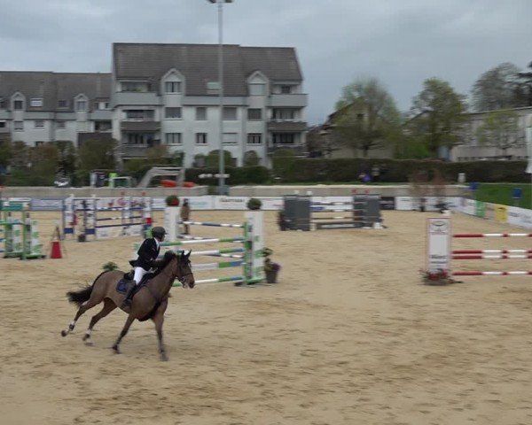 Reitturnier Amriswil 2025