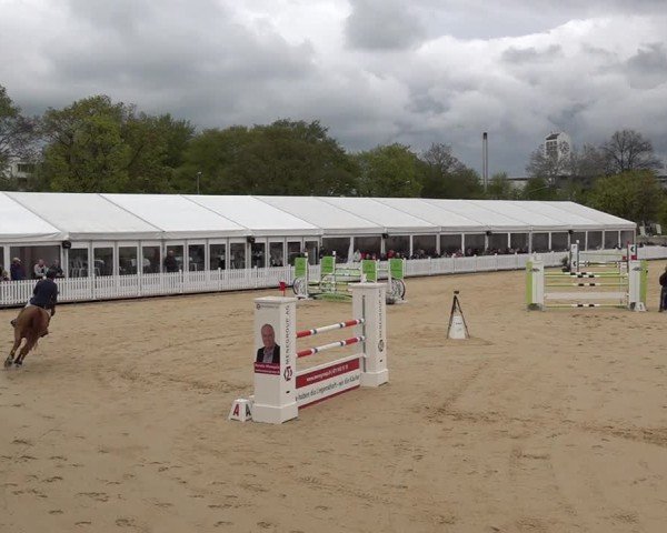 Reitturnier Amriswil 2025