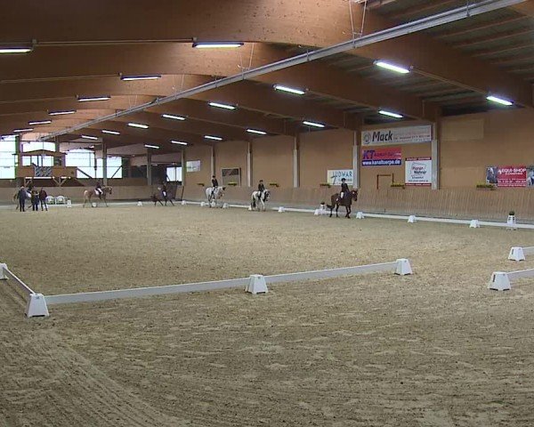 Reitturnier Grafenrheinfeld/Ufr. 2025