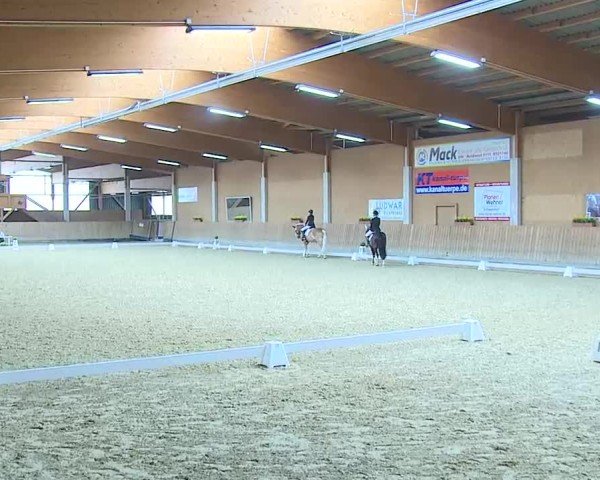 Reitturnier Grafenrheinfeld/Ufr. 2025