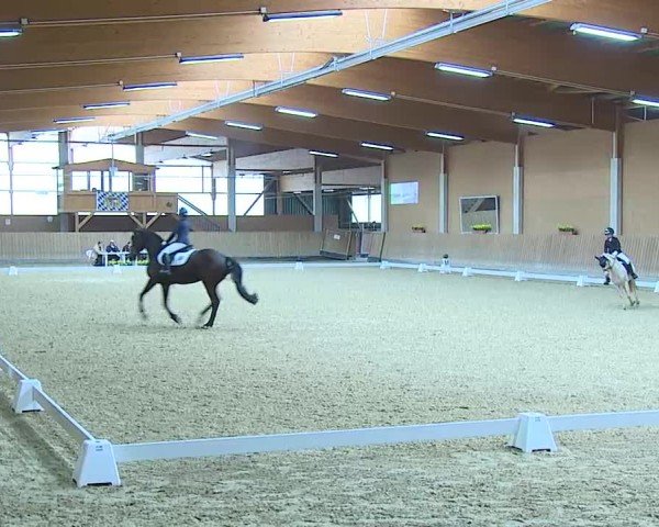 Reitturnier Grafenrheinfeld/Ufr. 2025