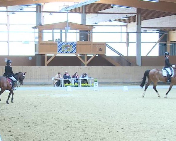 Reitturnier Grafenrheinfeld/Ufr. 2025
